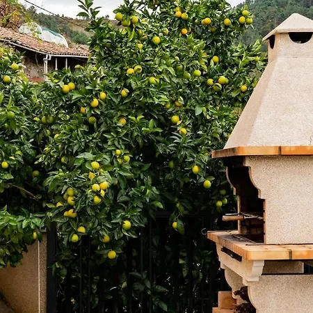 Casa El Mirador Del Mino En La Ribeira Sacra
